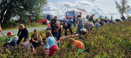 20250913_Kartoffelfeuer (3)