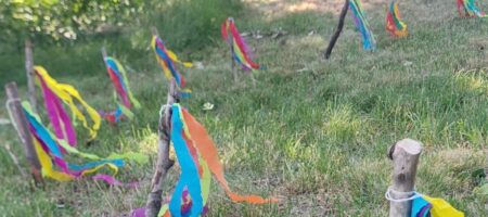 20260624_Johanni Fest (3)